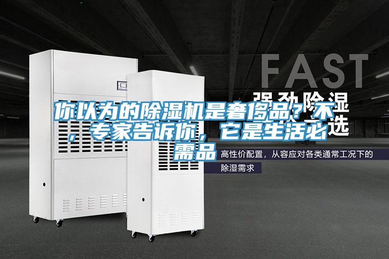 你以為的除濕機是奢侈品？不，專家告訴你，它是生活必需品