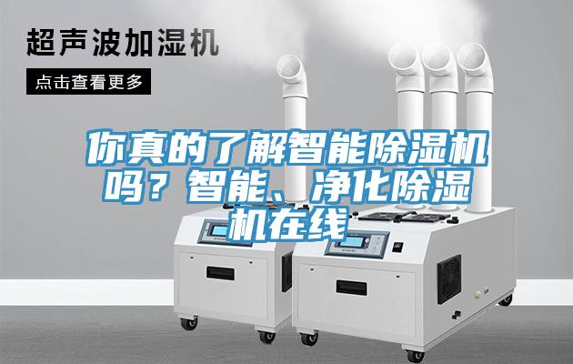 你真的了解智能除濕機嗎？智能、凈化除濕機在線