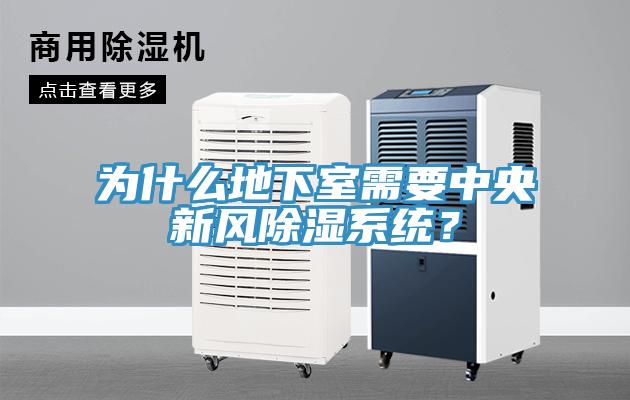 為什么地下室需要中央新風除濕系統(tǒng)？