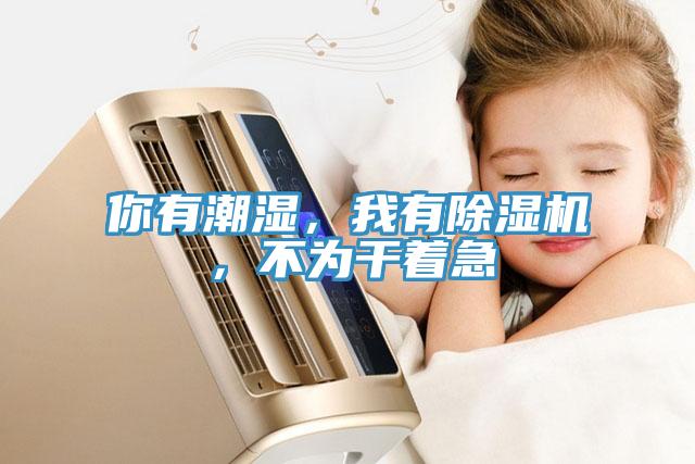 你有潮濕，我有除濕機，不為干著急