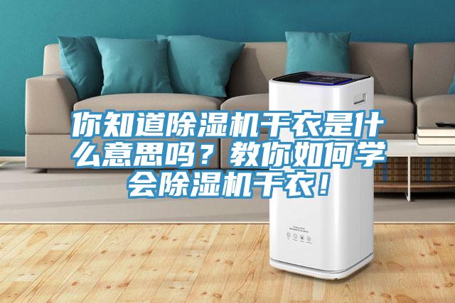 你知道除濕機干衣是什么意思嗎？教你如何學會除濕機干衣！