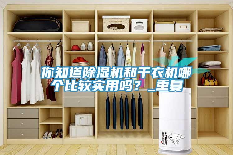 你知道除濕機和干衣機哪個比較實用嗎？_重復