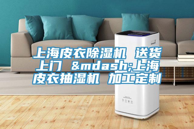 上海皮衣除濕機 送貨上門 &mdash;上海皮衣抽濕機 加工定制