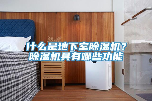 什么是地下室除濕機(jī)？除濕機(jī)具有哪些功能
