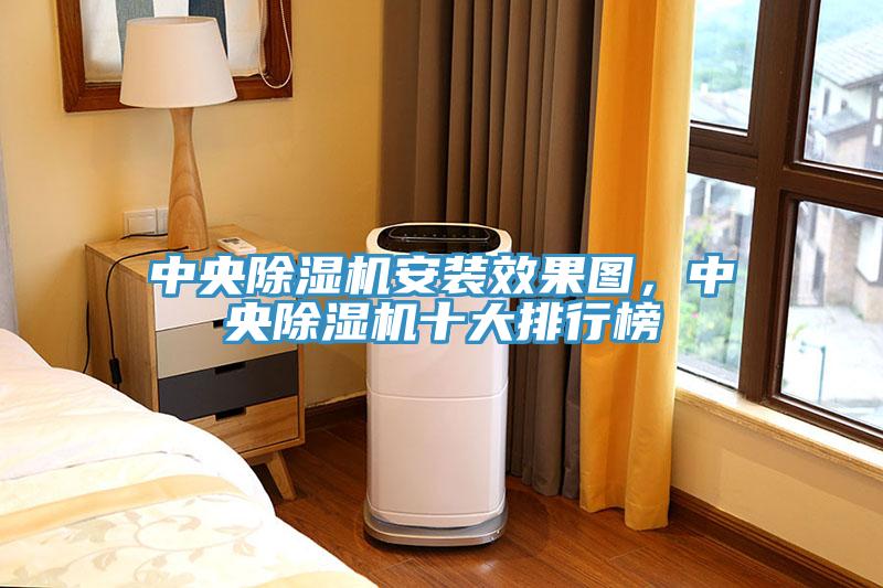 中央除濕機(jī)安裝效果圖，中央除濕機(jī)十大排行榜