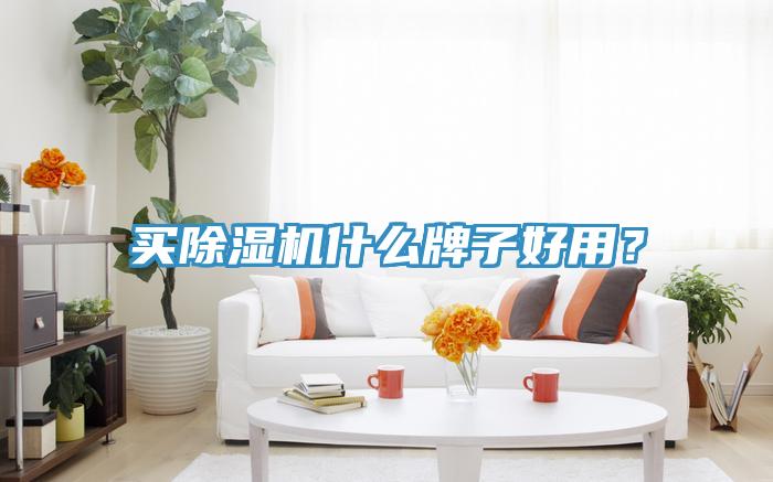 買除濕機什么牌子好用？