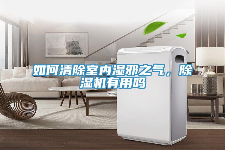 如何清除室內濕邪之氣，除濕機有用嗎