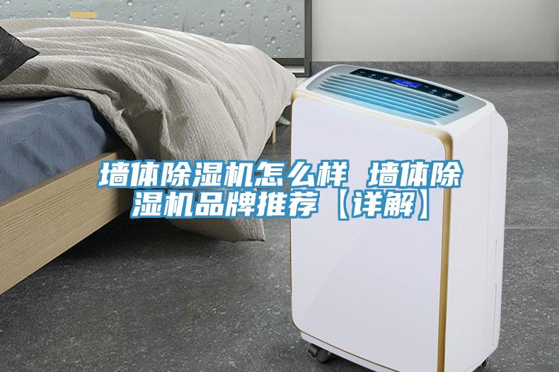 墻體除濕機怎么樣 墻體除濕機品牌推薦【詳解】