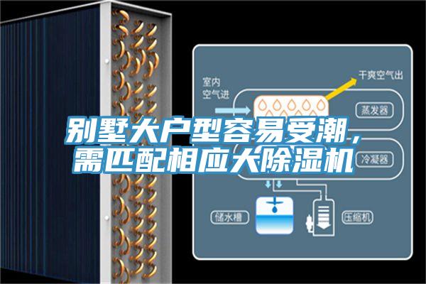 別墅大戶型容易受潮，需匹配相應大除濕機