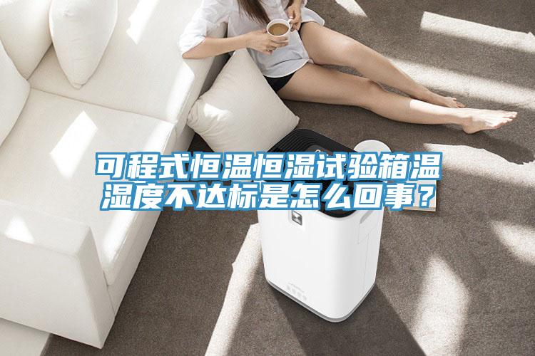 可程式恒溫恒濕試驗箱溫濕度不達標是怎么回事？