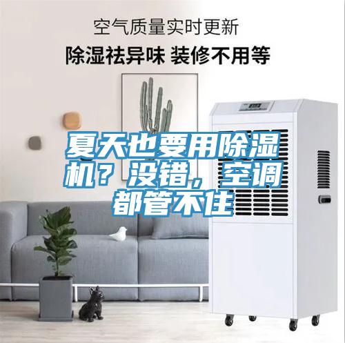夏天也要用除濕機(jī)？沒錯，空調(diào)都管不住
