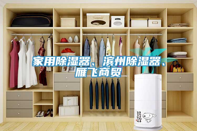 家用除濕器、濱州除濕器、雁飛商貿