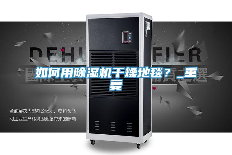 如何用除濕機干燥地毯？_重復