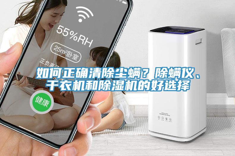 如何正確清除塵螨？除螨儀、干衣機和除濕機的好選擇