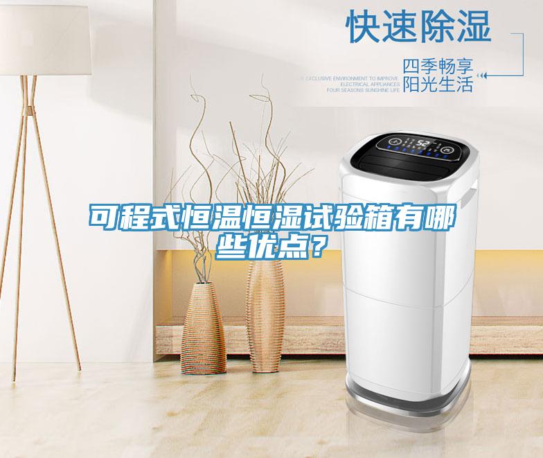 可程式恒溫恒濕試驗箱有哪些優點？