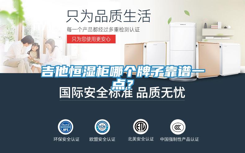 吉他恒濕柜哪個(gè)牌子靠譜一點(diǎn)？