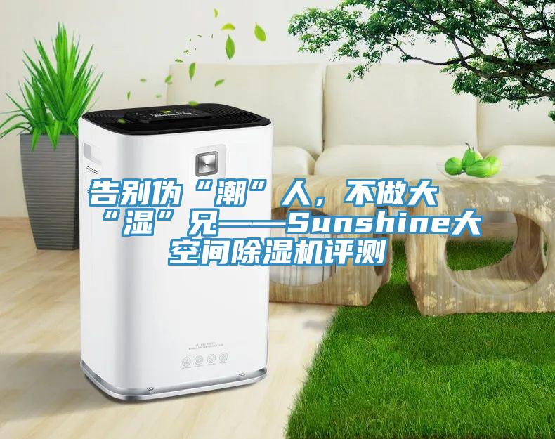 告別偽“潮”人，不做大“濕”兄——Sunshine大空間除濕機評測