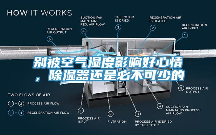 別被空氣濕度影響好心情，除濕器還是必不可少的