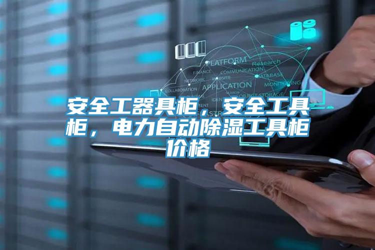 安全工器具柜，安全工具柜，電力自動(dòng)除濕工具柜價(jià)格