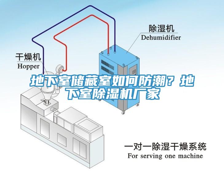 地下室儲(chǔ)藏室如何防潮？地下室除濕機(jī)廠家