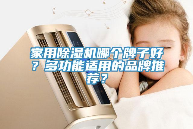 家用除濕機哪個牌子好？多功能適用的品牌推薦？