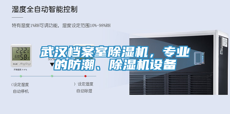 武漢檔案室除濕機，專業(yè)的防潮、除濕機設備