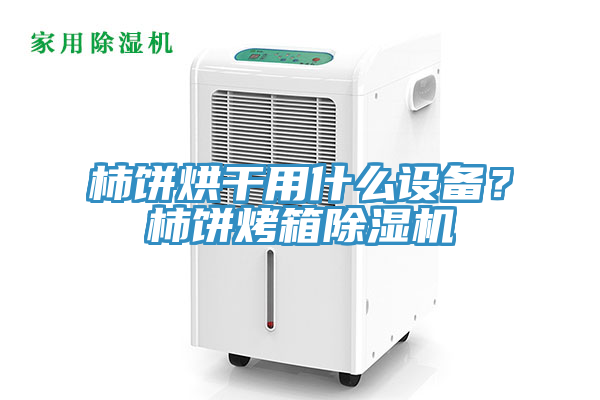 柿餅烘干用什么設(shè)備？柿餅烤箱除濕機(jī)