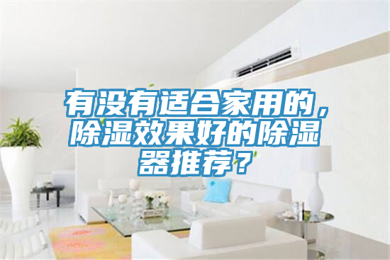 有沒有適合家用的，除濕效果好的除濕器推薦？