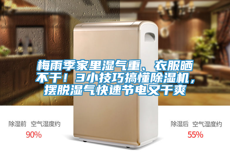 梅雨季家里濕氣重、衣服曬不干！3小技巧搞懂除濕機，擺脫濕氣快速節(jié)電又干爽