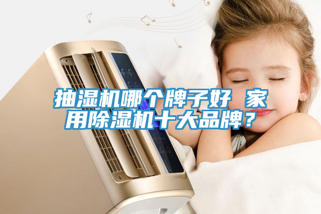 抽濕機(jī)哪個(gè)牌子好 家用除濕機(jī)十大品牌？