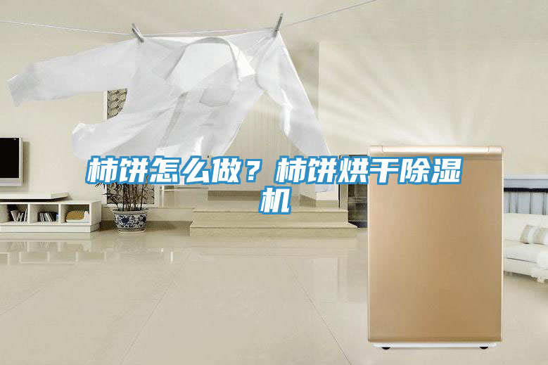 柿餅怎么做？柿餅烘干除濕機(jī)