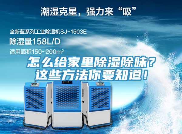 怎么給家里除濕除味？這些方法你要知道！