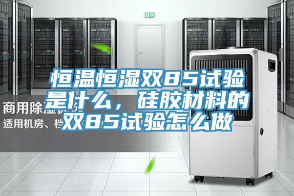 恒溫恒濕雙85試驗是什么，硅膠材料的雙85試驗怎么做