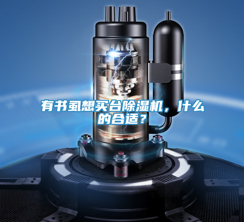 有書虱想買臺除濕機，什么的合適？