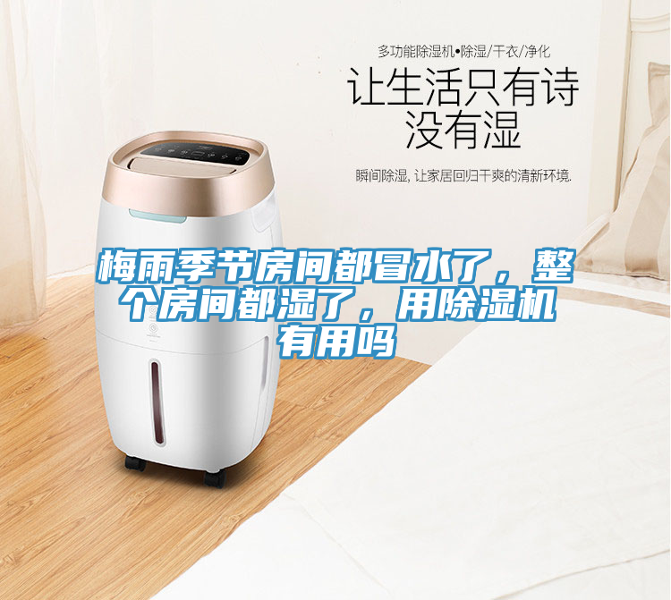 梅雨季節(jié)房間都冒水了，整個房間都濕了，用除濕機有用嗎