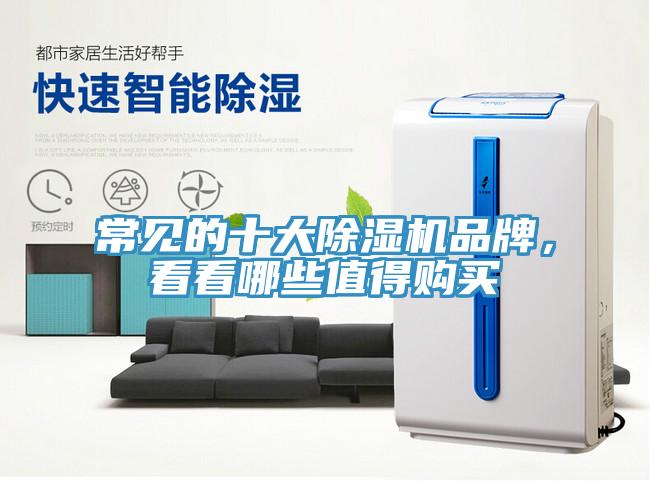 常見的十大除濕機(jī)品牌，看看哪些值得購買