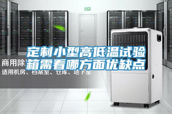 定制小型高低溫試驗箱需看哪方面優(yōu)缺點