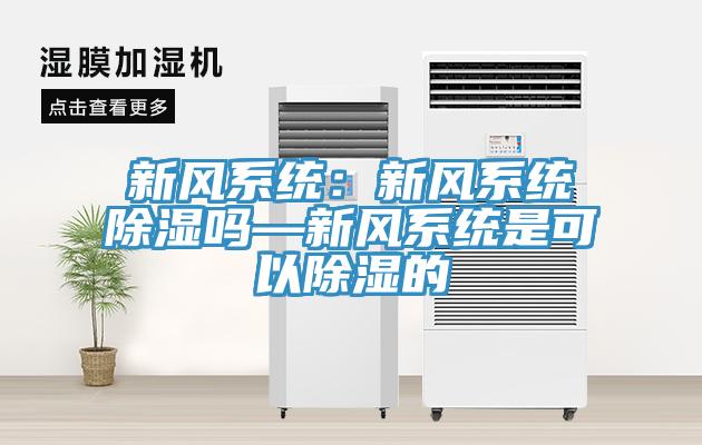 新風系統：新風系統除濕嗎—新風系統是可以除濕的