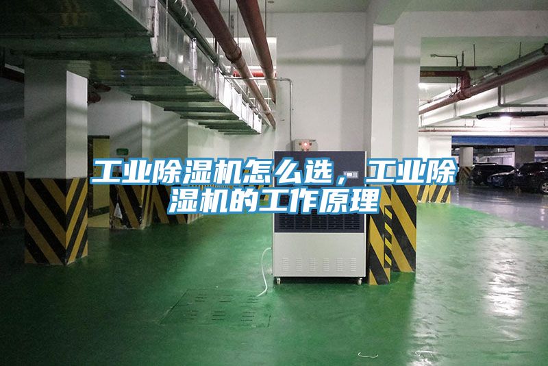 工業除濕機怎么選，工業除濕機的工作原理