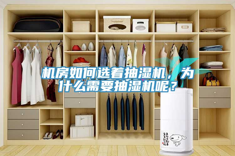 機(jī)房如何選著抽濕機(jī)，為什么需要抽濕機(jī)呢？