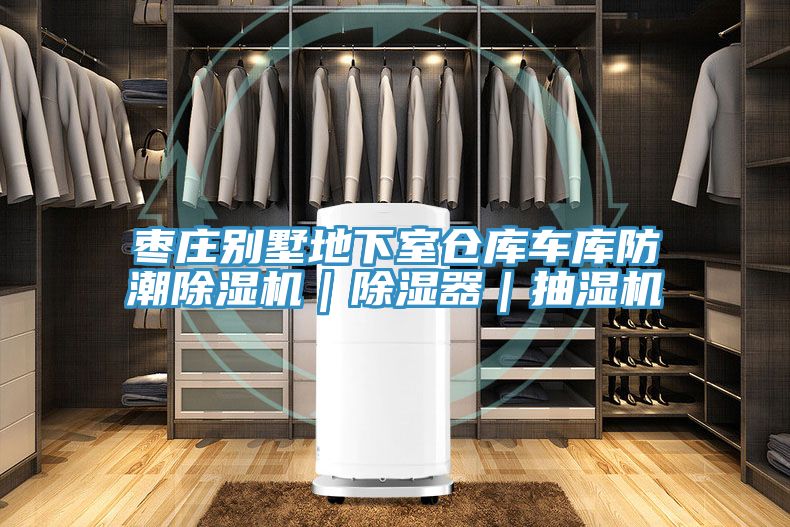 棗莊別墅地下室倉(cāng)庫(kù)車庫(kù)防潮除濕機(jī)｜除濕器｜抽濕機(jī)