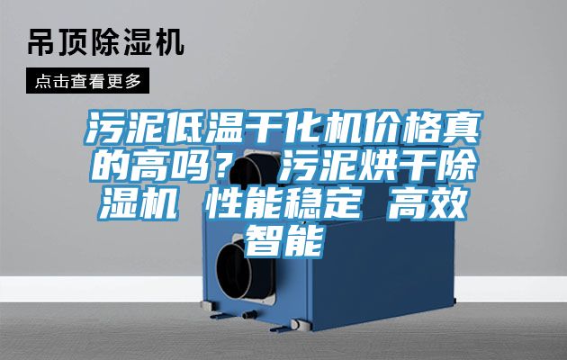污泥低溫干化機價格真的高嗎？ 污泥烘干除濕機 性能穩定 高效智能