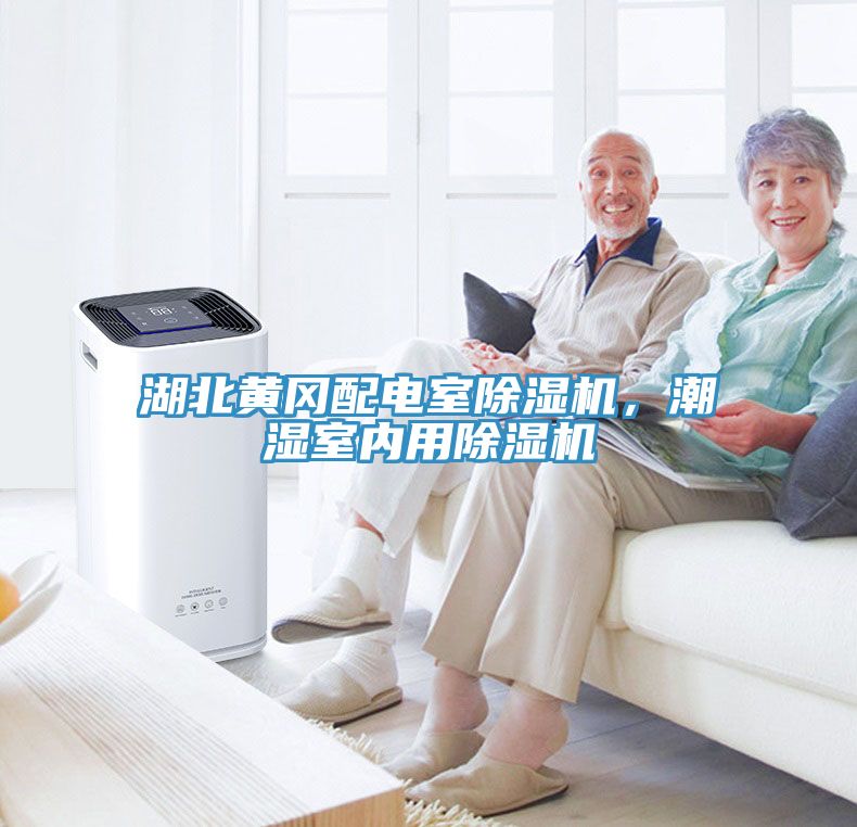湖北黃岡配電室除濕機，潮濕室內用除濕機