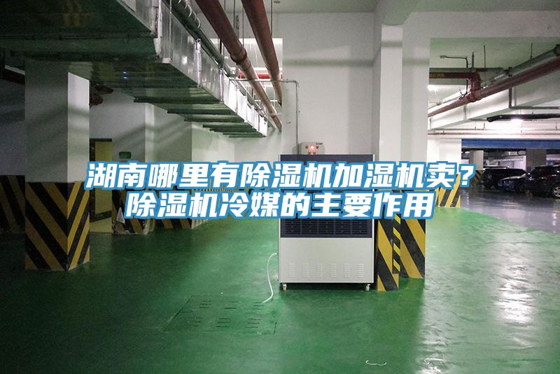 湖南哪里有除濕機加濕機賣？除濕機冷媒的主要作用