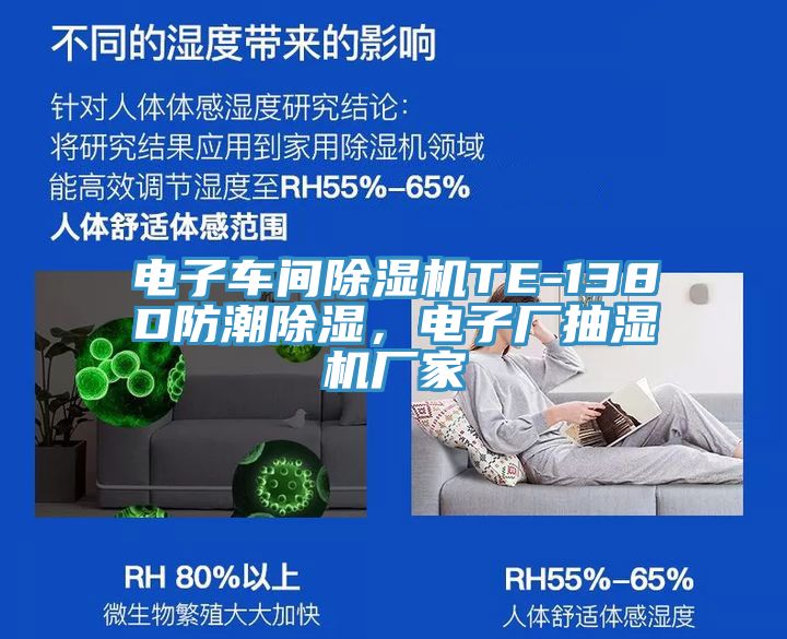 電子車間除濕機TE-138D防潮除濕，電子廠抽濕機廠家
