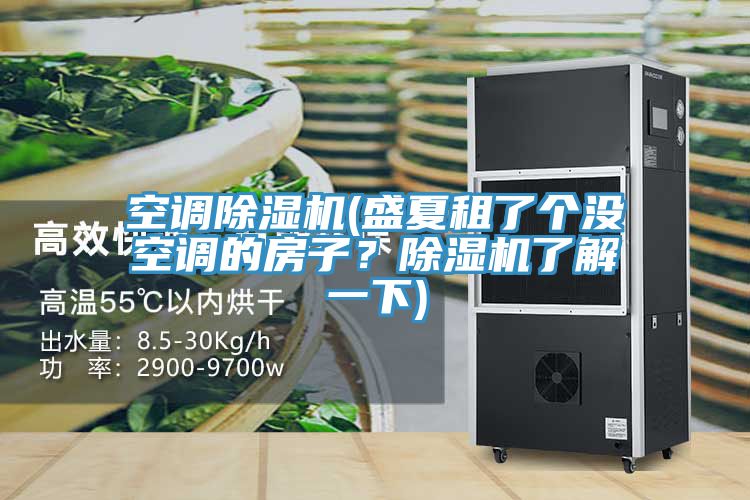 空調除濕機(盛夏租了個沒空調的房子？除濕機了解一下)