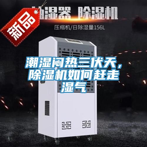 潮濕悶熱三伏天，除濕機如何趕走濕氣