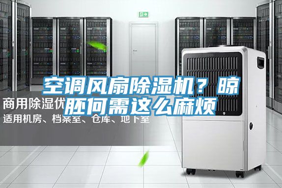 空調風扇除濕機？晾胚何需這么麻煩