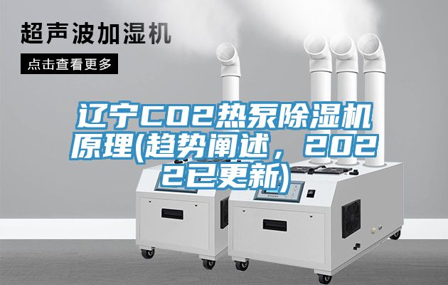 遼寧CO2熱泵除濕機(jī)原理(趨勢(shì)闡述，2022已更新)