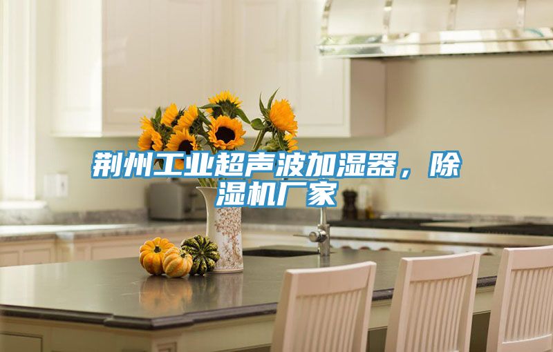 荊州工業超聲波加濕器，除濕機廠家